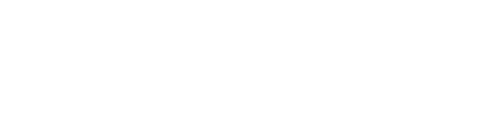 PAIDI